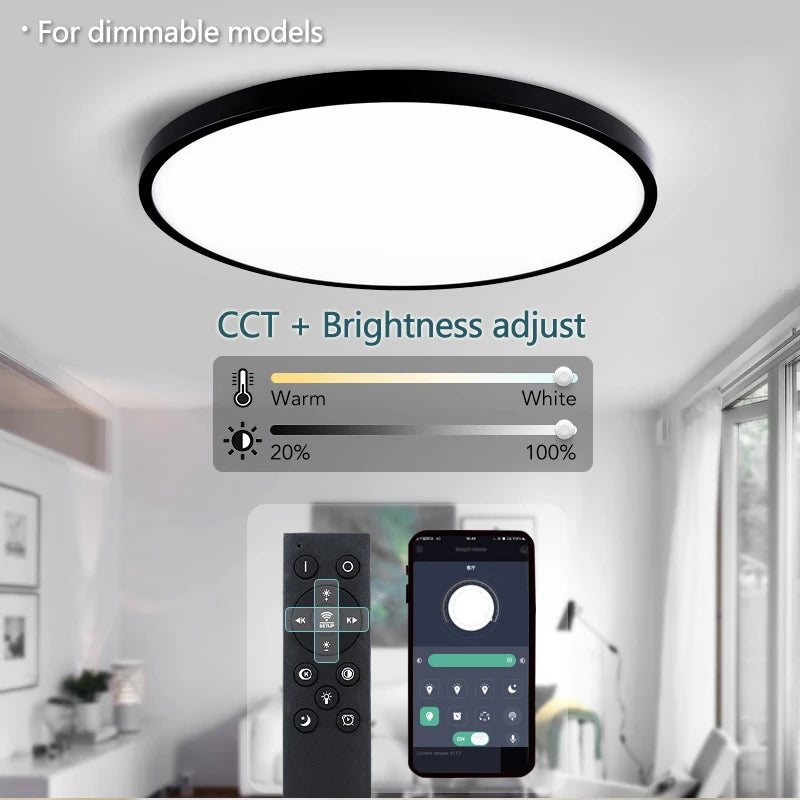 Amelieva - Led ceiling lamp