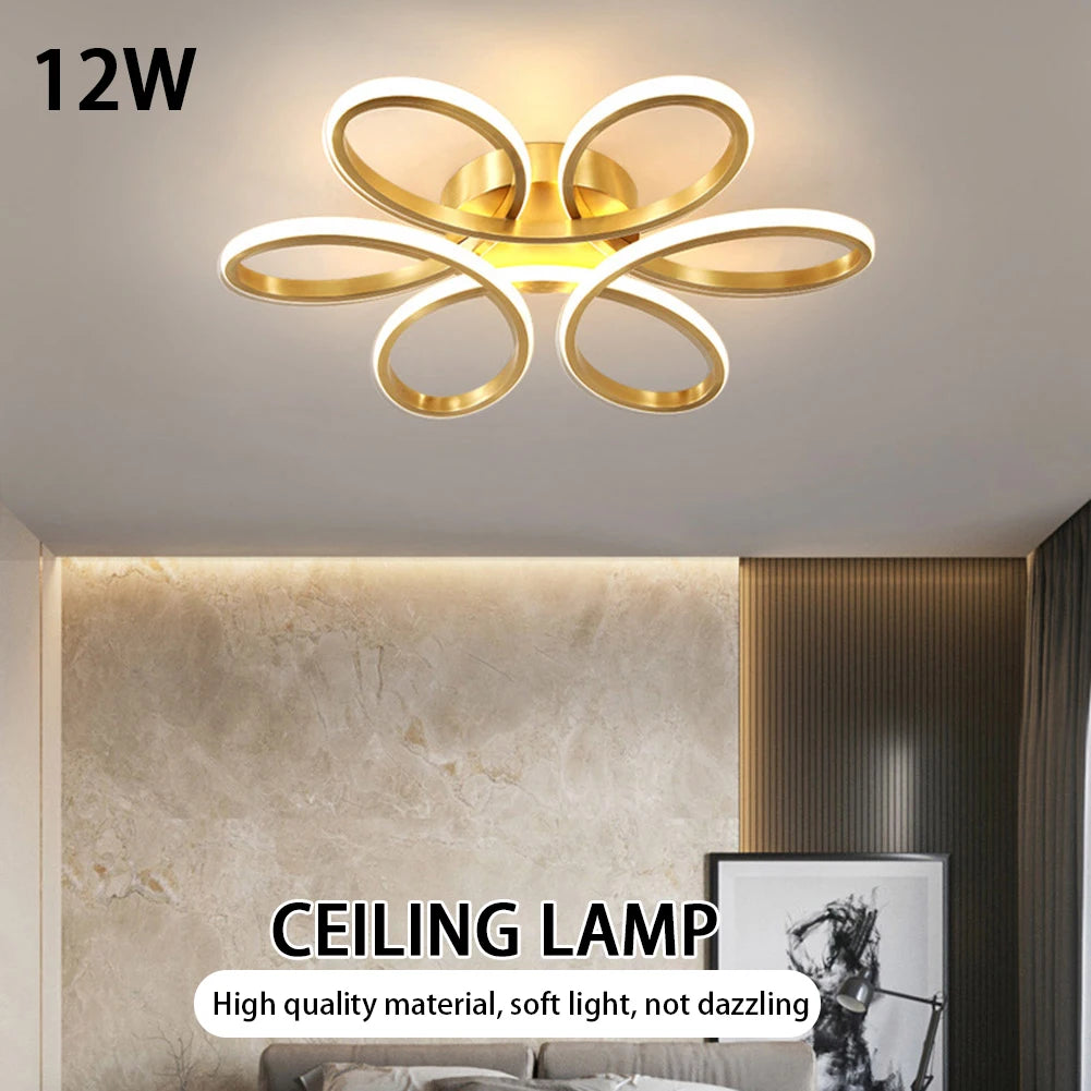 Angeliora - 12W Modern Style Ceiling Lamp